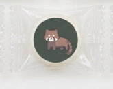 レッサーパンダ