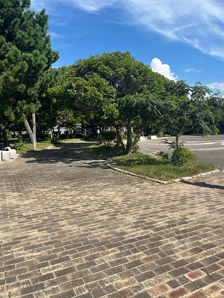 道